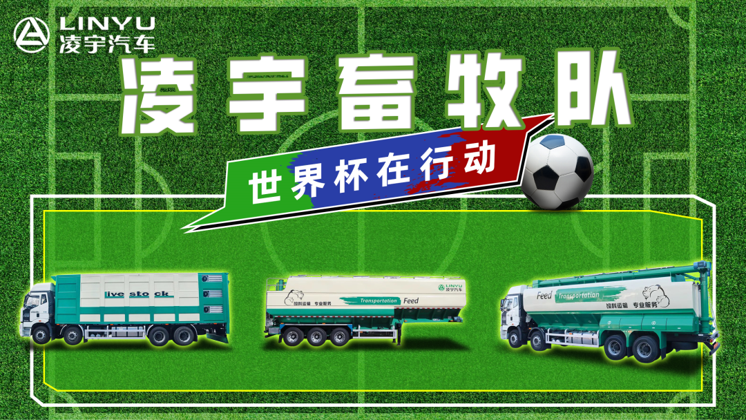 奪冠世界杯！你注意到這支球隊了嗎？